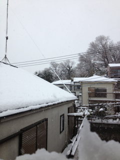image-20130114153648.png