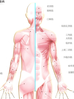 image-20130115224602.png