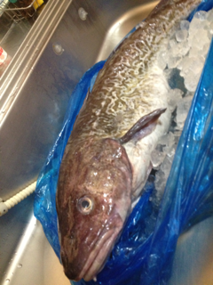 image-20130120130407.png