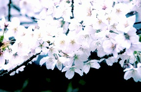 image-20130120222400.png