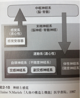 image-20130131083236.png