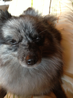 image-20130202113939.png