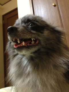 image-20130209123449.png