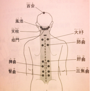 image-20130212055429.png