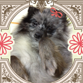 image-20130218220855.png