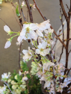 image-20130318133551.png