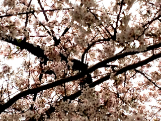 image-20130331142057.png