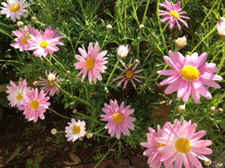 image-20130412232153.png