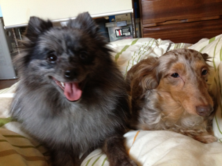image-20130415214535.png