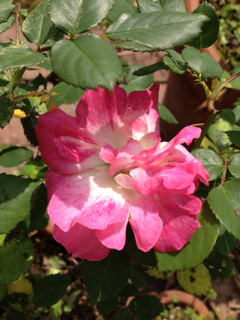image-20130426011156.png
