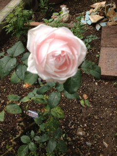 image-20130523034432.png