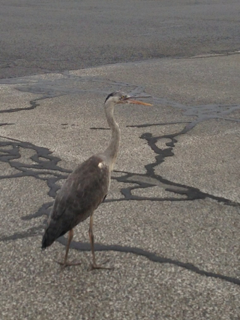 image-20130610132657.png